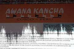 214-Awana Kancha,9 luglio 2013